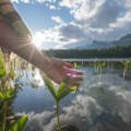 Young Heroes Leading the Way to Restore Vegetation