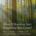 What If Harmony Isn’t Something You Create?