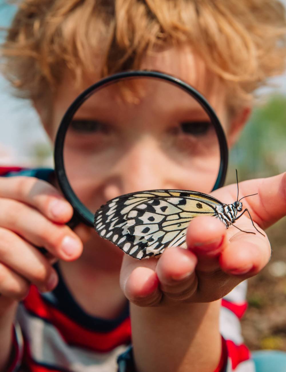 boy looking at butterfy through magnifying glass, kids learning nature